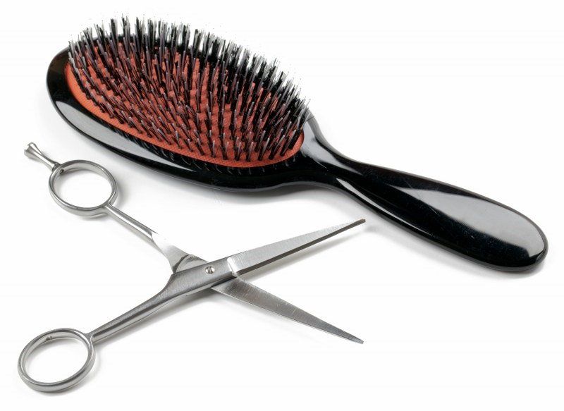 brush and scissors